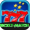 all cricket match Pro Edition v4.3.9