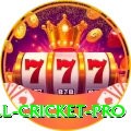 all cricket Slot Machine Champion