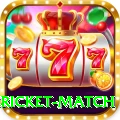 bangladesh cricket match Pro Edition v3.6.9