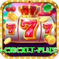bet365 cricket - Gaming Royal