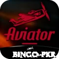 Bingo PKR Games (Casino & Earning) Max v3.8.1