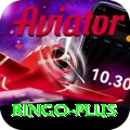 bingo Pro v2.3.7