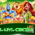 bpl live cricket Plus Edition v2.3.1