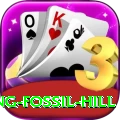 chhusang fossil hill Pro Edition v3.0.7