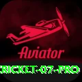 cricket 07 Slot Machine Pro