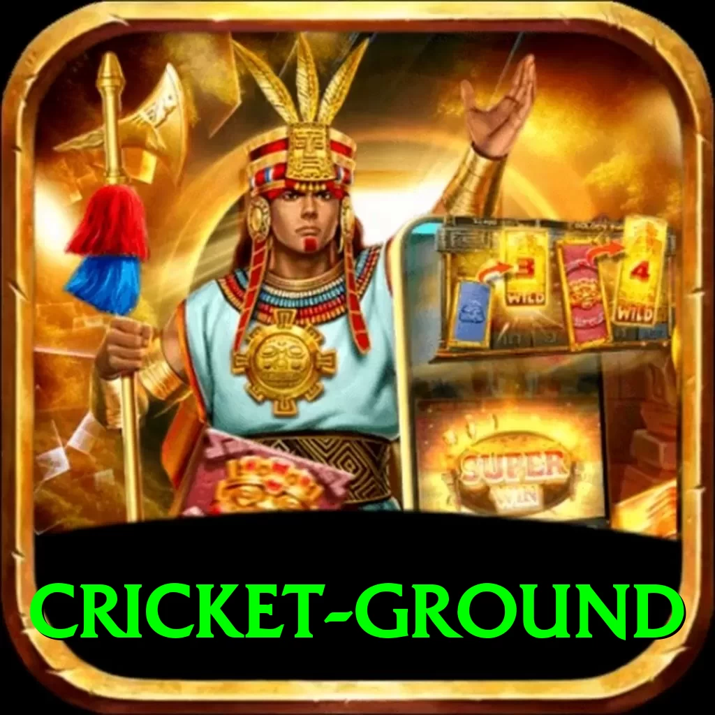 cricket ground Pro - 2