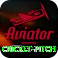 cricket pitch Master Pro v3.6.5