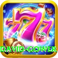 david gower VIP v1.3.6