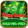 dravid - Slots Champion