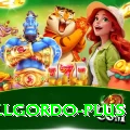 elgordo Super v5.7.5
