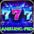 gambling Premium Casino App