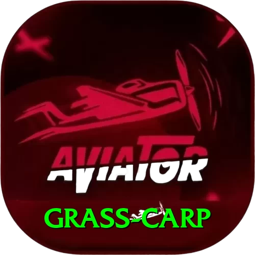 grass carp VIP Pro v5.2.4 - 2