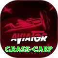 grass carp VIP Pro v5.2.4