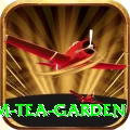 hile ilam tea garden Premium v5.9.8
