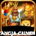 hyangja gumdi Pro1 v2.0.5
