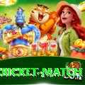 india cricket match Plus Pro v1.1.3