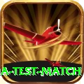 india test match Pro Edition v4.7.7