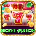 international cricket match Deluxe Edition v3.8.1