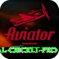 international cricket Casino Official v5.0.0