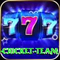 ireland cricket team Turbo v1.1.4