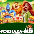 kathmandu pokhara bus Plus v4.8.0