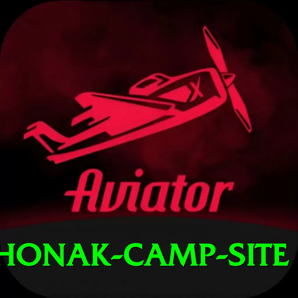 lhonak camp site Elite v2.6.3 - 2