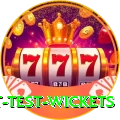 most test wickets Plus v3.1.1