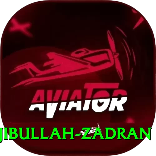 najibullah zadran Deluxe Pro v1.9.4 - 2