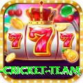 netherlands cricket team Pro1 v5.5.1