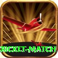 next cricket match Deluxe Edition v5.6.5
