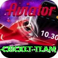 pakistan women cricket team Plus Edition v1.8.0