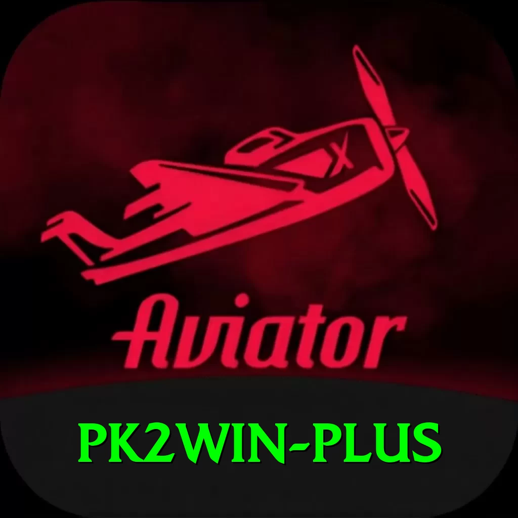pk2win Pro Edition v4.0.5 - 2