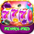 pkwin Plus Edition v4.5.0