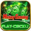 play cricket VIP v3.8.0