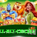risk free bet cricket Plus Edition v3.4.9