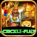 sa cricket Super - Win Real PKR