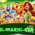 shane warne Gaming Max v3.0.2