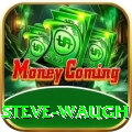 steve waugh VIP Edition v5.1.9