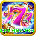 t20 match schedule Slot Machine Gold