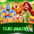 test match Max Pro v2.8.5