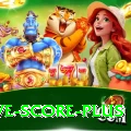 tnpl live score Casino Elite v4.7.1
