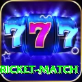 to day cricket match Elite Pro v1.8.1