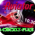 virat kohli cricket Casino Extreme v4.1.7