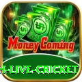 watch live cricket