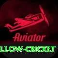 willow cricket Gold v5.0.1